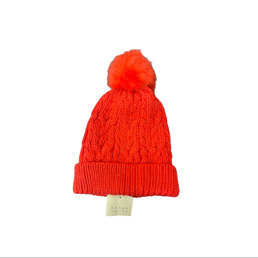 NWT Hinge Winter hat